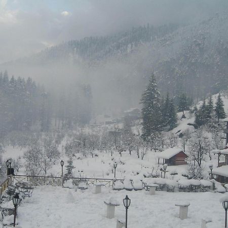 Snow Valley Resorts & Spa Manali Dış mekan fotoğraf